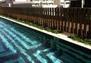 Pool Fencing